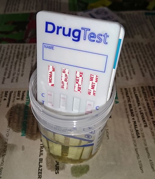 Urine Drug Testing Fraud